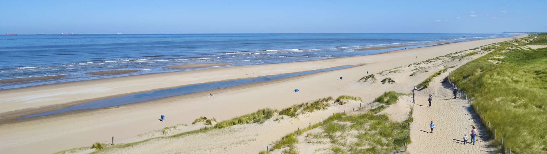In de natuur, vlak bij strand en steden